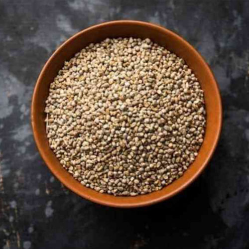 Millets - VISION GLOBAL TRADE