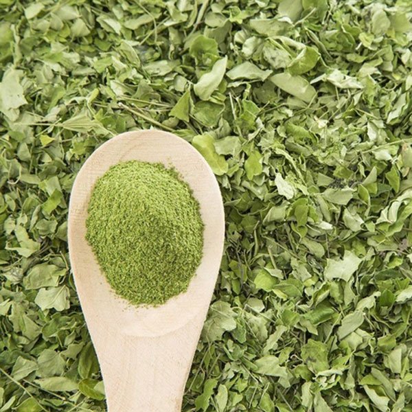 Premium Dried Moringa Leaves Exporter - VISION GLOBAL TRADE