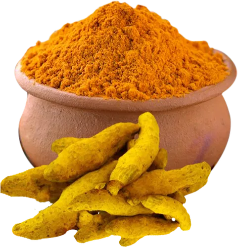 Turmeric - VISION GLOBAL TRADE